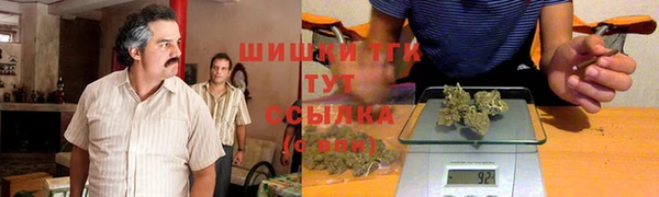 тгк Арсеньев