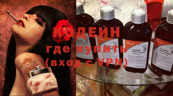 ГАЛЛЮЦИНОГЕННЫЕ ГРИБЫ Инсар