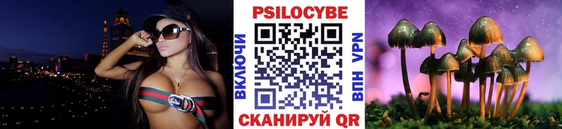 MEGA   магазин    Михайловка  Галлюциногенные грибы мицелий 